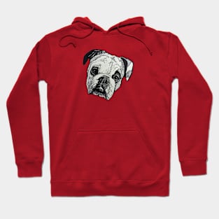 Sparkle the Bulldog Hoodie